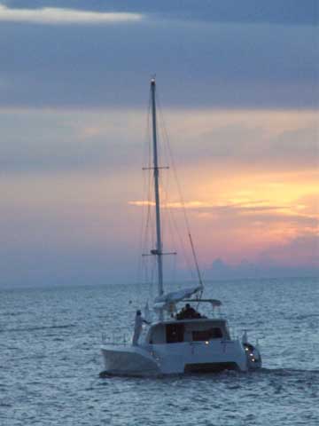 RB 34 Cat Jackie - Click to zoom.