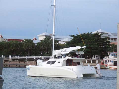 RB 34 Cat Jackie - Click to zoom.