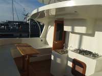 RB 34 Cat Jackie - Click to zoom.