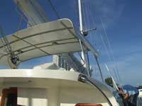 RB 34 Cat Jackie - Click to zoom.