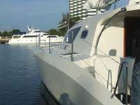 RB 34 Cat Jackie - Click to zoom.